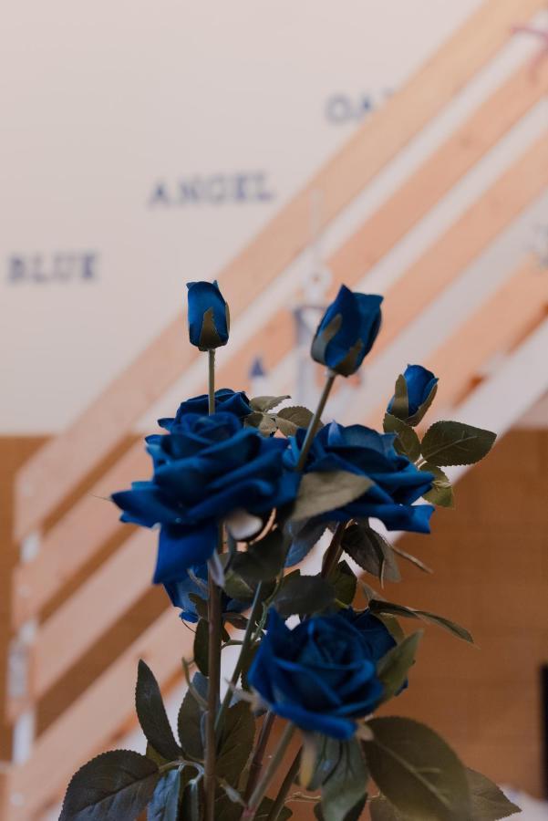 Blue Angel Oak - Apartment باري المظهر الخارجي الصورة